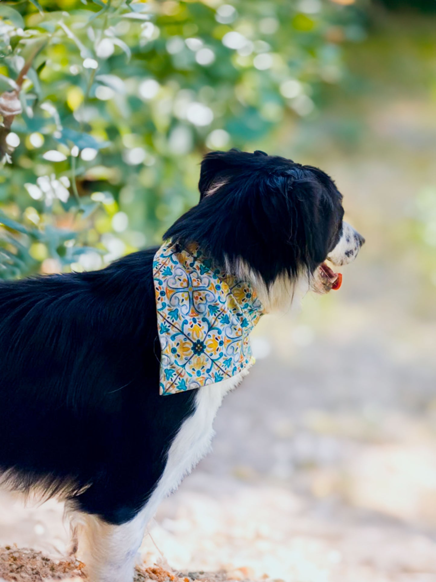 Bandana mascota doble vista Acuarela / Mosaicos